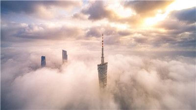 上海茶叶市场：新茶提供丰富选择